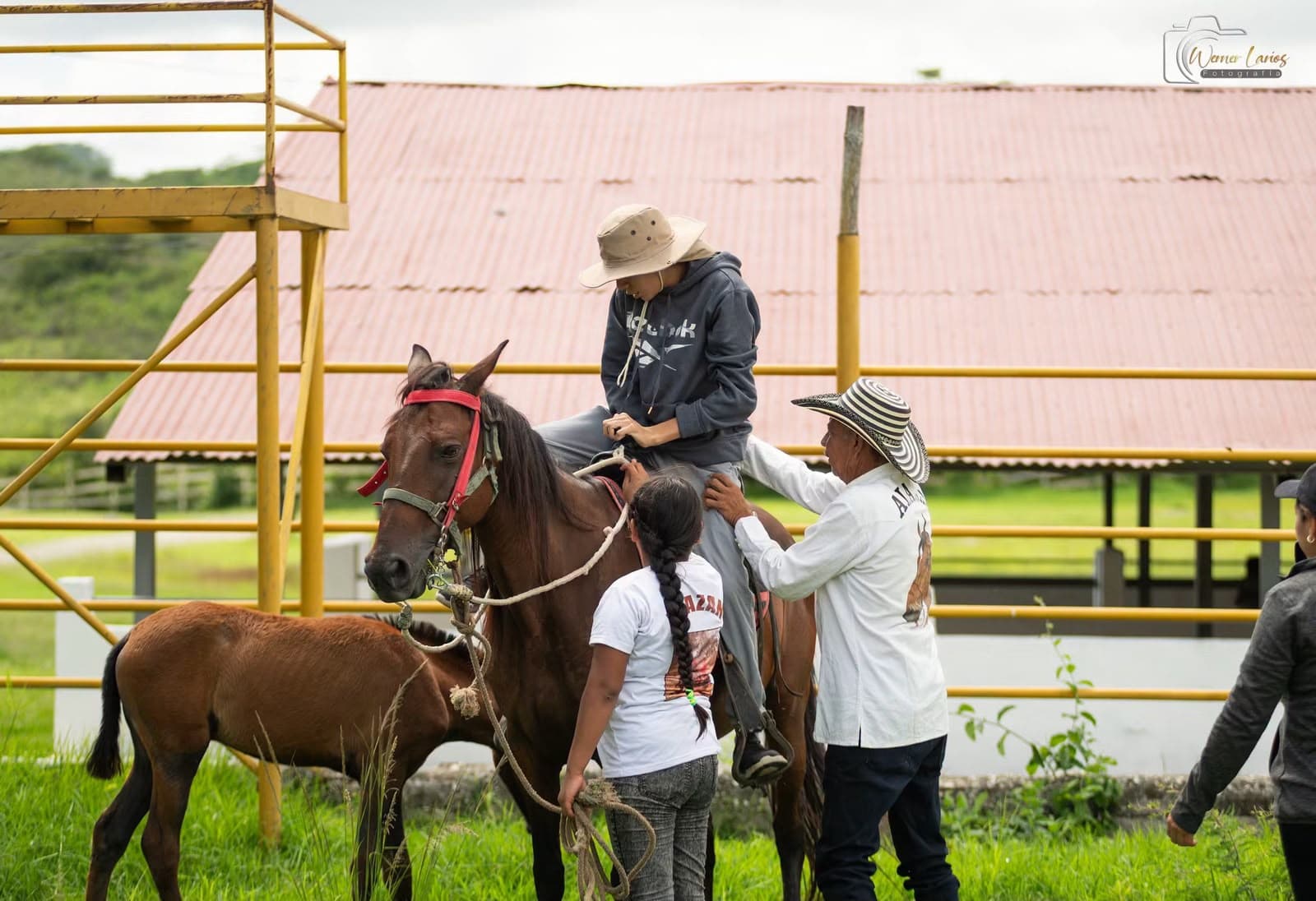 Equinoterapia
