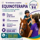 equino